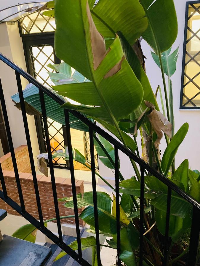 קטאניה Lavica Di Mezzo Apartments מראה חיצוני תמונה